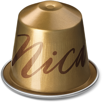 10 Capsules Master Origins Nicaragua Nespresso 57g